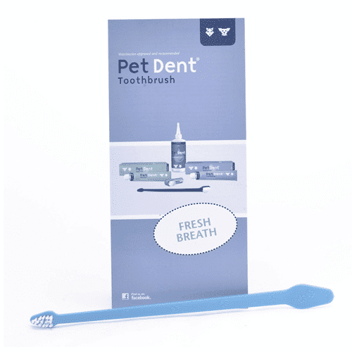 Pet Dent Toothbrush (Blue – SKU Y1301/B)