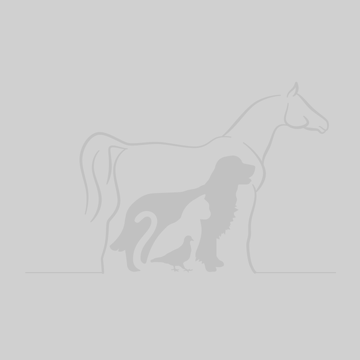 KittyMilk – Milk Substitute for Kittens (2.5kg) - Vet Products Online